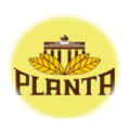 Planta