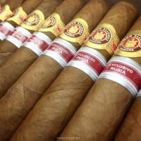 Сигары Ramon Allones Hermitage ER 2017 Russia