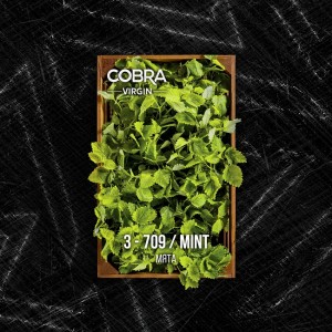 Cobra MINT